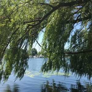 Meet your Posher, Jade